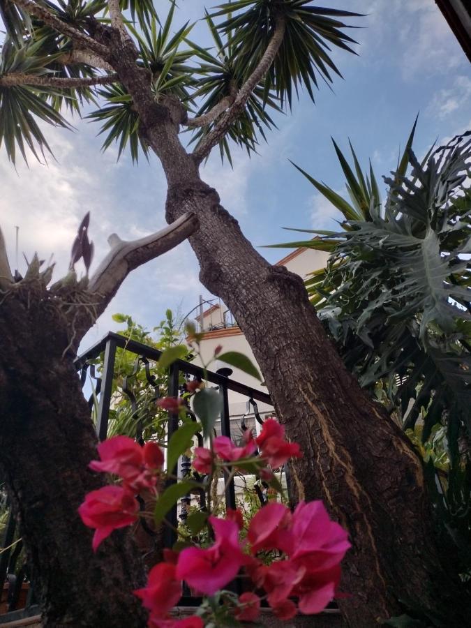 サン・ミゲル・デ・アジェンデ Pied A Terre At Casitas Aparicioヴィラ エクステリア 写真